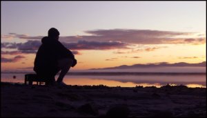 Martin contemplation sunrise
